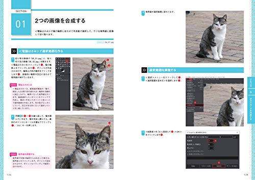 GIMPで暗い画像（写真）を明るくする方法  パソコンlabo