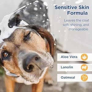   Zodiac-Oatmeal-Conditioning-Shampoo-for-Dogs-Puppies-18-ounces-Small