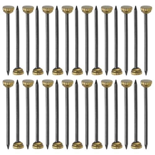 QUARKZMAN 30 chiodi per appendere quadri, 1,3 x 25mm Chiodi decorativi in ferro Riutilizzabili Attrezzo per appendere quadri specchi cesti, Oro e Nero