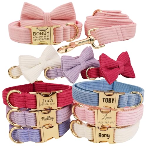 Collare per cuccioli personalizzato con targhetta con nome inciso, morbido tessuto in velluto di poliestere, regolabile e resistente, per animali domestici di taglia piccola e media, guinzaglio