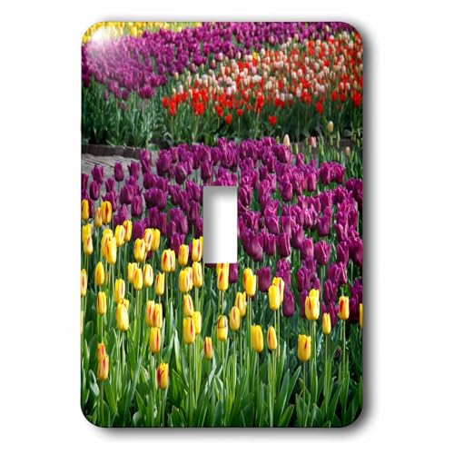 Interrupteur à baïonnette fleurs 3dRose LSP_47802_1 déco tulipes