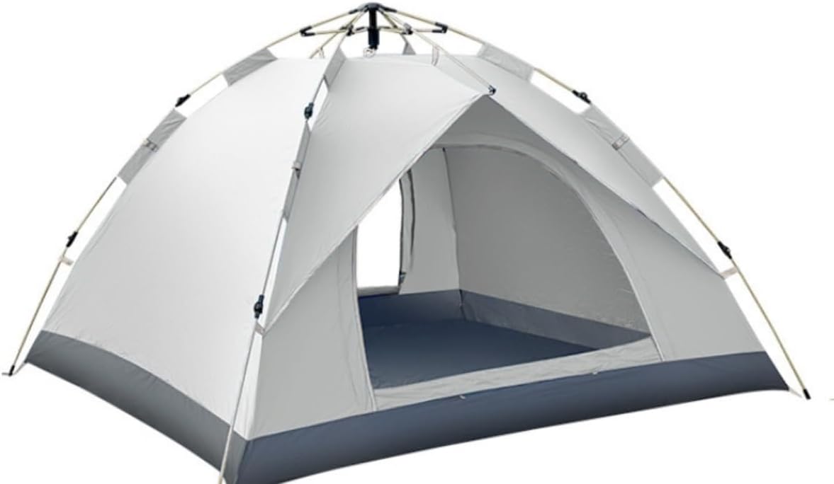 金華美女 椿 鉢底約70cm 金華美女 椿 鉢底約70cm 椿の 金華美女 椿 鉢底約70cm 金華美女 椿 鉢底約70cm 椿の