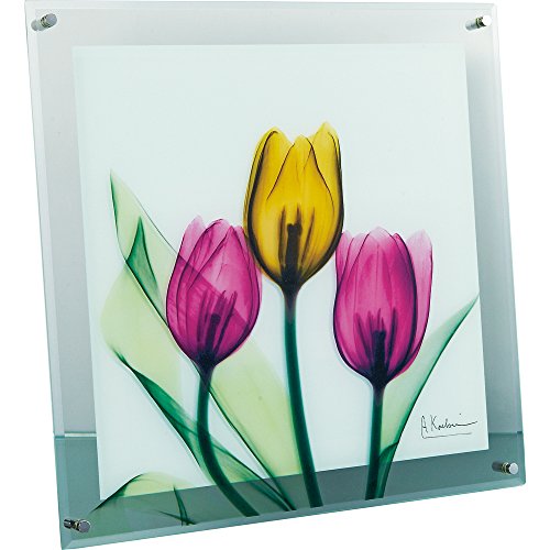 ユーパワー 植物 花 マルチカラー W36×H36×D2cm