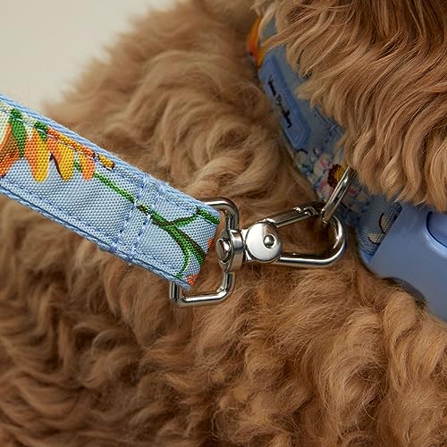 Vera Bradley Women's Recycled Lighten Up Water-repellent Pet Leash, Sunflower Sky, Large by Vera Bradley - Image 5
