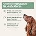 AniForte Bio Ägyptisches Schwarzkümmelöl für Hunde & Pferde 500ml - Kaltgepresstes, natürliches Schwarzkümmel Öl, Barf Zusatz in Premium Qualität, Recyclebare Verpackung