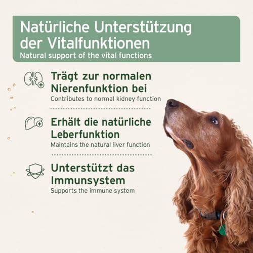 AniForte Bio Ägyptisches Schwarzkümmelöl für Hunde & Pferde 500ml - Kaltgepresstes, natürliches Schwarzkümmel Öl, Barf Zusatz in Premium Qualität, Recyclebare Verpackung