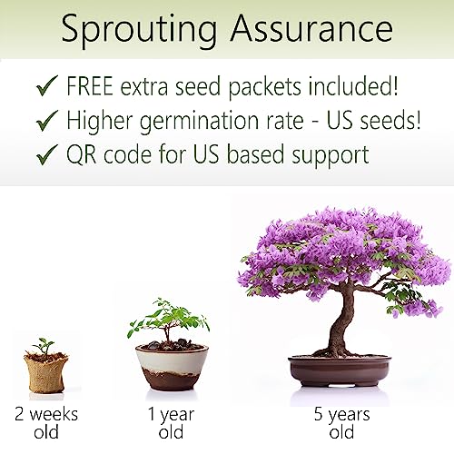 Bonsai Starter Kit – 1X Bonsai Tree | Complete Indoor Starter Kit For Growing Plants With Bonsai Seeds, Tools & Planters – Gardening Gifts For Women & Men #TOP1