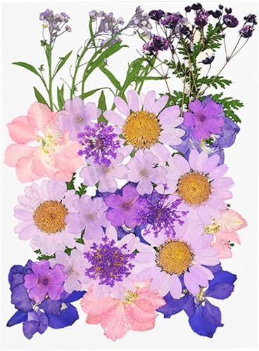 Flor seca pequeña para prensado decoración DIY miniatura 1