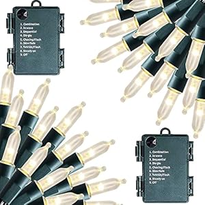 Dazzle Bright Battery Operated Christmas Lights, 2 Pack 16 Feet 50 LED Clear Mini String Lights Waterproof with 8 Modes…