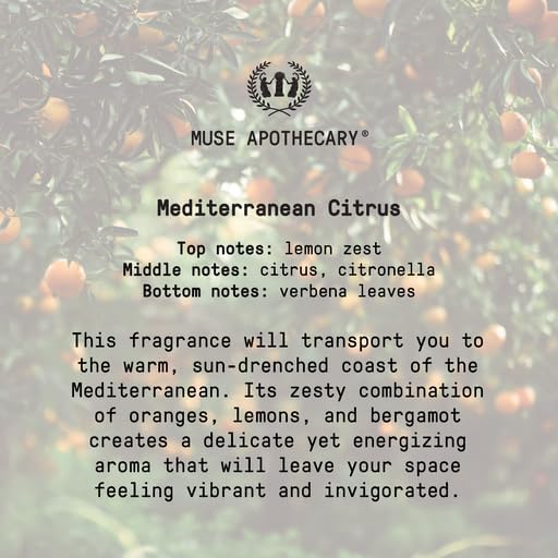 Muse Apothecary Home Ritual Active Odor Eliminator Spray - Furniture Deodorizer Spray & Bathroom Odor Eliminator for Home - Essential Oil Air Freshener - 4oz, Mediterranean Citrus, 2 Pack - Image 8