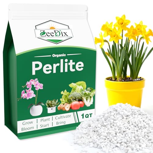 ZeeDix 1QT Coarse Perlite for Plants