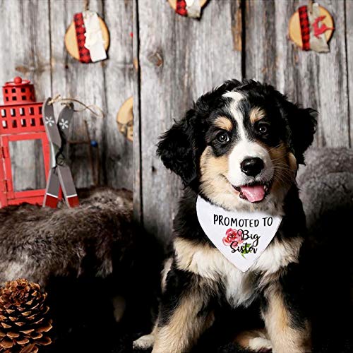 Youfangworkshop Promoted To Big Sister Dog Bandana, Gender Reveal Photo Prop Triangle Pet Scarf Scarves Decorations Accessories For Medium Large Dogs Cats Pets #TOP2