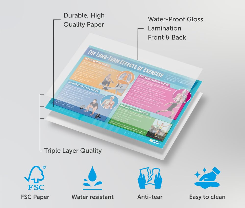 The Long-Term Effects Of Exercise | PE Posters | Laminated Gloss Paper Measuring 850mm X 594mm | Physical Education Charts For The Classroom | Education Charts By Daydream Education - View #9