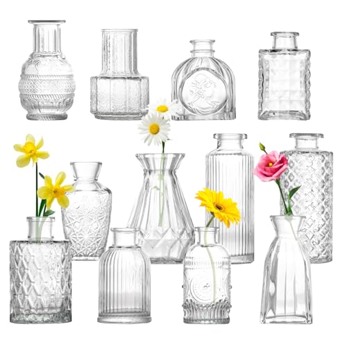 Homshsjhkis 12 Pcs Mini Vases en Verre, Vase Fleur Transparent, Petit Vase Deco Table, Glasvasen pour Arrangements Floraux, Centres de Table Mariage, Bricolage,...