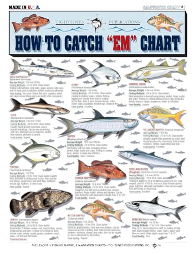 How to Catch 'Em Saltwater Fish Identification #1 - Waterproof Quick Reference Guide | Portable & Built to Last | Double-Sided & Easy to Read | (Atlantic, Gulf of Mexico, Bahamas, and Caribbean)