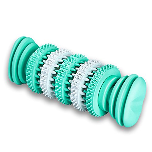 Dog's Chew Toy Dogs Teeth Cleaning Toy [Bite Resistant][Non-Toxic Soft Rubber]Jakpak Dog Chew Toys and Teeth Cleaning Toy for Aggressive Chewers Funny Rotary Rubber Gear Toy for Dogs Mint