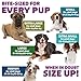 Yummy Combs Dog Dental Treats – Vet VOHC Approved, Removes Tartar & Cleans Teeth – Yummy High Protein Chicken Treat for Extra Small Dogs (Mini Pack, 30 Count)