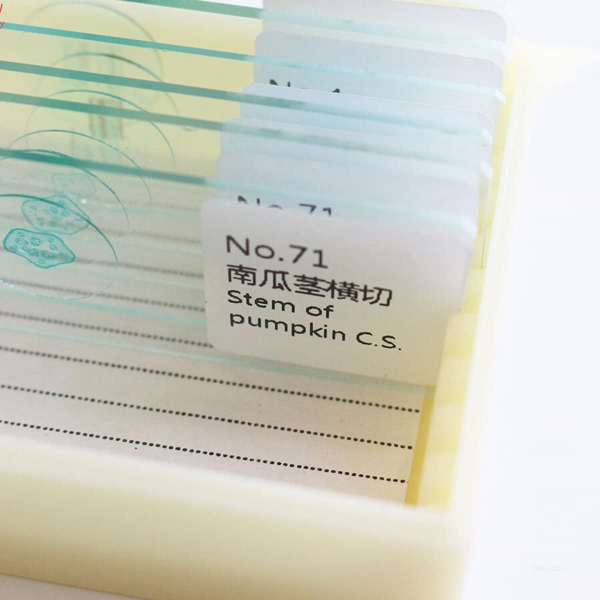 Kit di accessori per microscopio Vetrini for campioni di microscopio da 10 pezzi / 20 pezzi for l'educazione alla biologia scientifica del laboratorio di base degli studenti Vetrini per microscopio(10