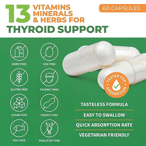 thyroid support for women and men with iodine - energy focus amp power thyroid supplement - all natural herbal mineral and vitamin complex with b12 zinc selenium ashwagandha - 60 vegetarian capsules
