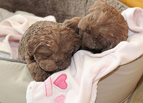 Best Quality 🔥 It's a Puppy Girl! Full Silicone Bathable Life Like Reborn Newborn Baby Doggie Doll