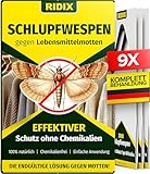 Ridix® Schlupfwespen gegen Lebensmittelmotten [3 Lieferungen mit je 3 Karten = 9 Karten] - Schlupfwespen gegen Motten als biologische Lösung frei von Chemie - Schlupfwespen Lebensmittelmotten