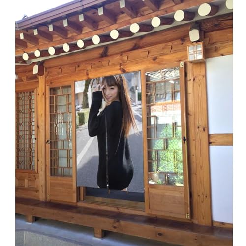 蓮実クレア (4) 風防ぎ 和風 のれん ドアカーテン 86x143cm 垂れ順 廊下/部屋/出入り口用 目隠し 暖簾