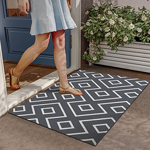 MR FANTASY Dirt Trapper Door Mat Indoor & Outdoor Entrance Mats, Front Door Mat, Welcome Mat Entryway Rug, 17x29, Anti-Slip Doormats
