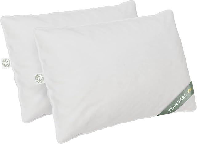 East Coast Bedding - Standard Size Pillow Set of 2 - Medium Luxury Hotel Pillow for a Luxury Bed - 100% European Goose Down Pillow 800FP - Featherless Pillow for Sleeping