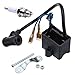 CDI Ignition Coil & Spark Plug 50cc 66cc 80cc Engine Motor Motorized Bicycle Bike
