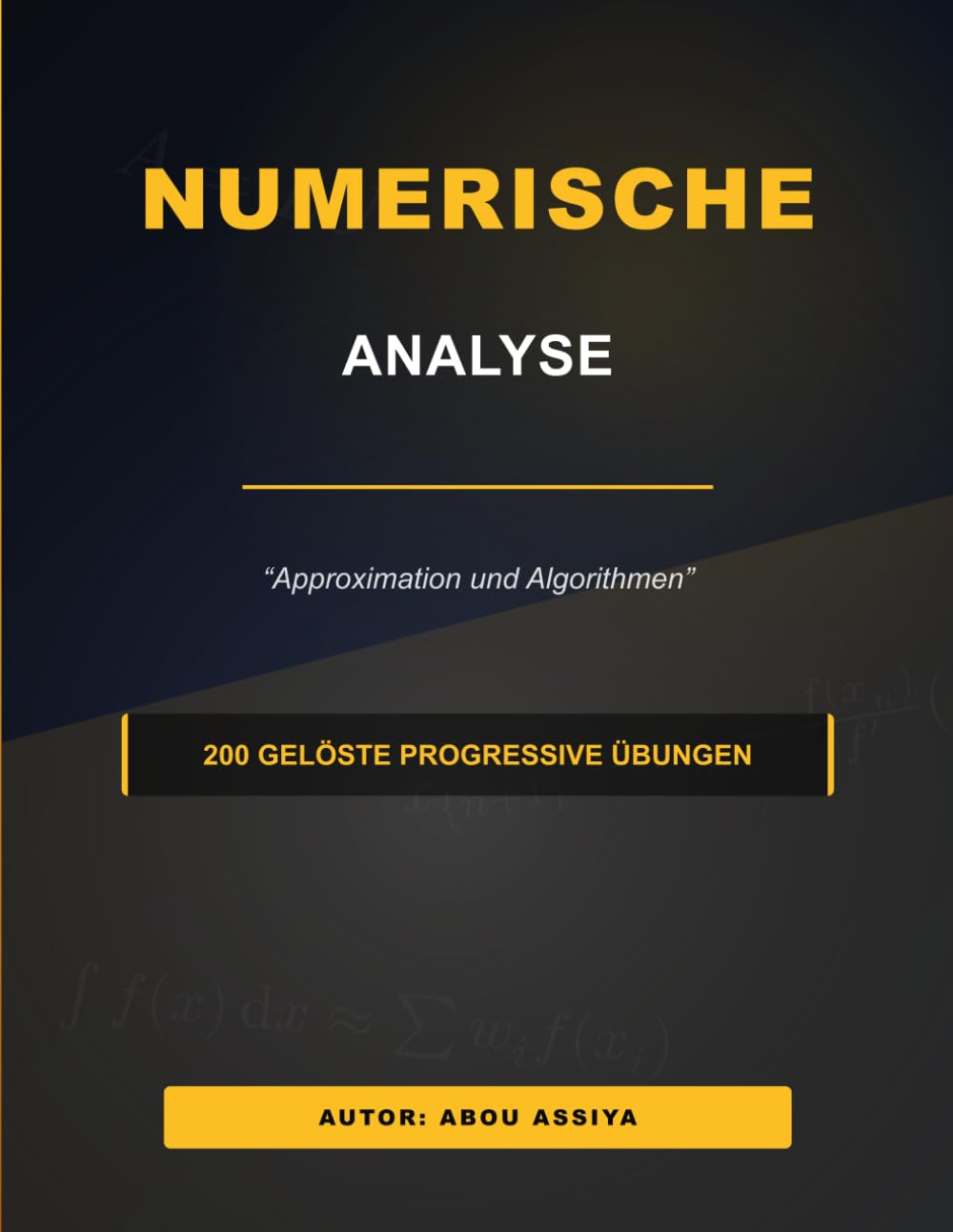 Numerische Analyse: Approximation und Algorithmen - 200 gelöste progressive Übungen