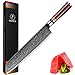 FANTECK Cuchillo Kiritsuke Profesional 24cm, Cuchillo de Cocina Damasco, Cuchillo Chef Japones de VG-10 Acero Damasco de 67 Capas, Cuchillo de Cocinero para Cortar Verdura, Fruta, Carne y Pescado