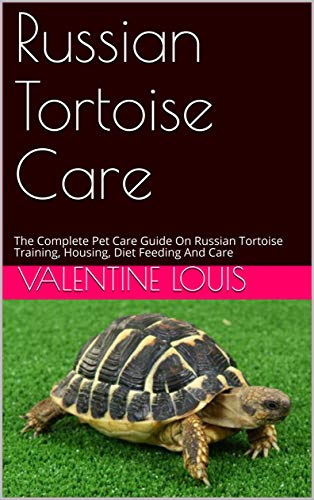 russian tortoise care guide