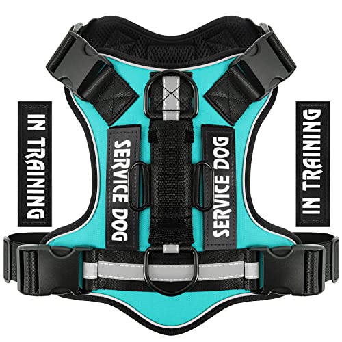 Belababy Excellent No Pull Dog Harness Service Dog In Training, Breathable Adjustable Comfort, Easy to Use Harnesses Buckle for Puppy Animals, Small Medium Large, Training Walking Peacock Blue M Cover
