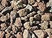 Der Naturstein Garten 25 kg (Vergleichspreis 11,40 € bei 20 Litern) Lava Mulch 16-32 mm - Pflanzgranulat Schneckenschutz Lavastein Lavamulch Aquarium Dachbegrünung Lavagranulat - Lieferung KOSTENLOS