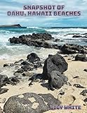 Snapshot of Oahu, Hawaii Beaches