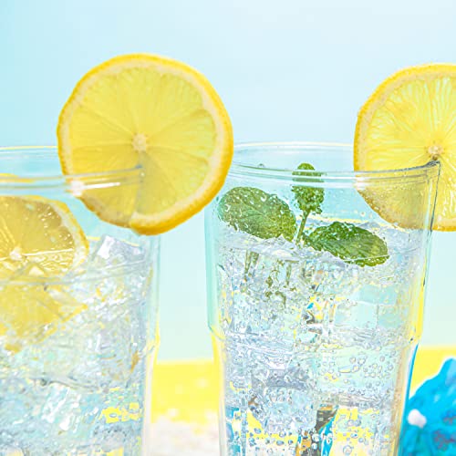 Zak Designs Insulated Plastic 25 Oz Tumbler Set Of 2, With Double-Wall Construction, Made With Durable And Non-Bpa Material For Hot And Cold Drinks At Home (Clear) #TOP5