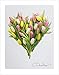 LOVE - Tulip Flower Heart Poster Print. 11x14 Great for Framing. Best Quality Gifts from The Heart Collection. Unique Birthday, Christmas & Valentines Gifts for Women, Men & Kids of All Ages