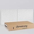 Armstrong Ceiling Tiles; 2x4 Ceiling Tiles - Acoustic Ceilings for Suspended Ceiling Grid; Drop Ceiling Tiles Direct from the Manufacturer; CORTEGA Second Look Item 2767 - 10 pcs White Tegular
