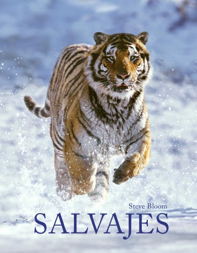 Salvajes (General) Salvajes (General)
