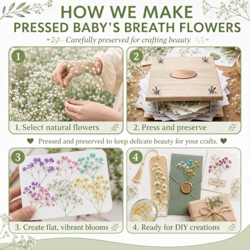 100 flores mini secas de paniculata prensadas para manualidades miniatura 4