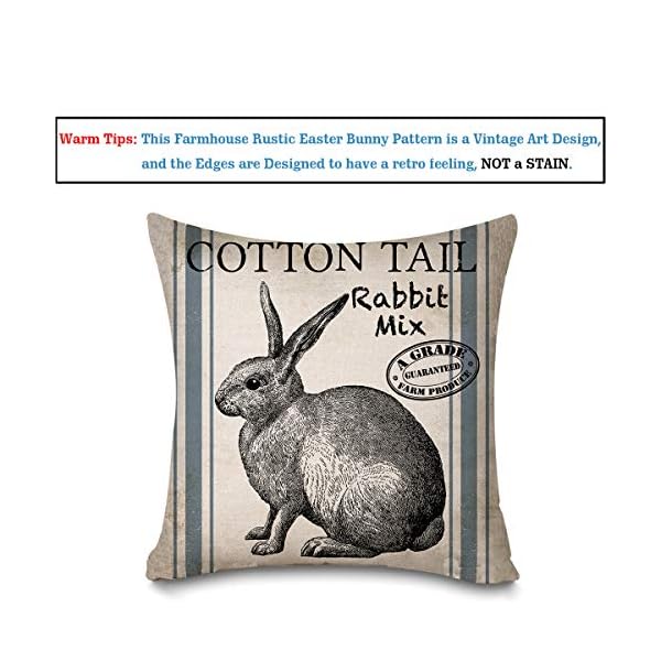 Vintage farmhouse bunny throw pillow covers retro farm rabbit feed home decor throw pillow case cushion cover 16 x 16 set of 2 vintage rabbit  urban country home decor