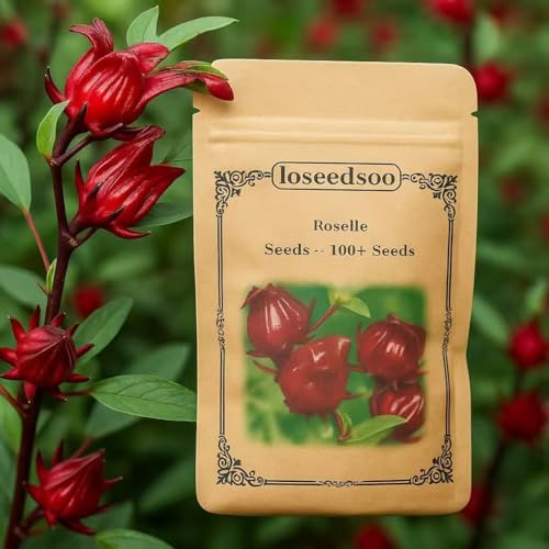 loseedsoo 100+ Roselle Seeds for Planting Hibiscus sabdariffa Seeds Roselle Hibiscus Flower Seeds for Garden Planting Annual Heirloom Flower Seeds for Outdoor Growing