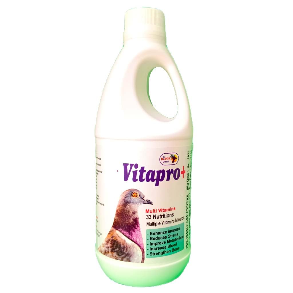 VITAPRO+ Syrop Multi witaminy Gołąb || Wszystkie wady gołębia zostaną zrealizowane || Medycyna gołębia, medycyna Kabutaru, Medycyna dla ptaków, Dr PDX (500,ml)