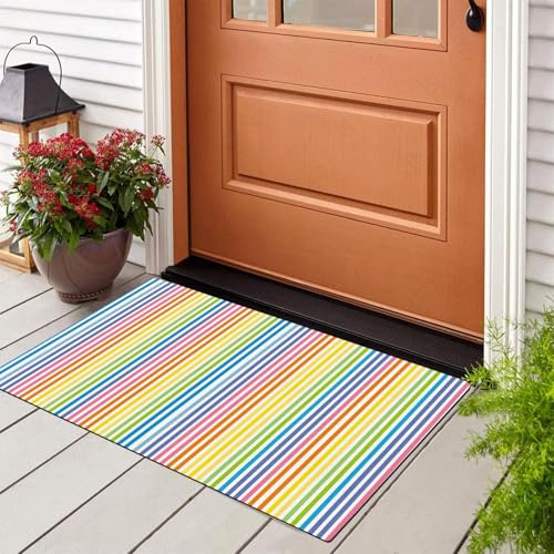 Tapis d'entrée intérieur antidérapant contre les sols sales - 3