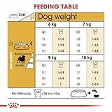 Royal Canin Pug | 1,5 kg | Trockenfutter für ausgewachsene Möpse | Zur Unterstützung des Fells und der Verdauung | Für Hunde ab dem 10. Lebensmonat