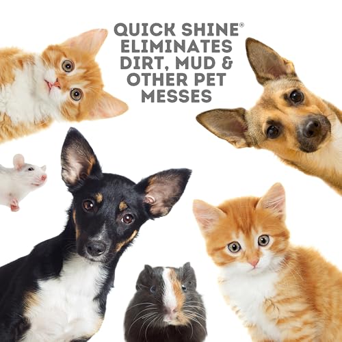 Plant Based Pet Floor Cleaner 27 oz: Streak Free, No Rinse Formula for Hardwood, Laminate, Vinyl, & Tile Floors | Safe for Kids, Pets & Environment