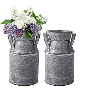 TOPZEA 2 Pack Shabby Chic Milk Can Vase, Galvanized Finish Milk Can Vase Rustic Milk Jug Metal Flower Vase Petite Milk Bucket for Home, Kitchen, Living Room, Farmhouse Decor, Table Centerpieces TOPZEA 2 Pack Shabby Chic Milk Can Vase Galvanized Finish Milk Can Vase Rustic Milk Jug Metal Flower Vase Petite Milk Bucket for Home Kitchen Living Room Farmhouse Decor Table Centerpieces