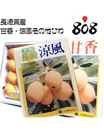 休日 季節の果物 びわ 大きさ色々 家庭用 訳あり ビワ 約 10g 愛媛 休日 季節の果物 びわ 大きさ色々 家庭用 訳あり ビワ 約 10g 愛媛