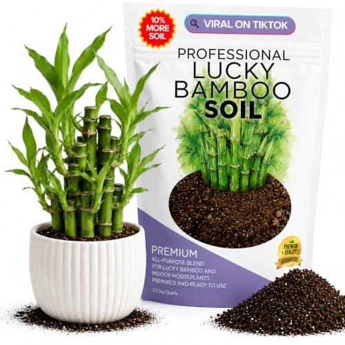 Professional Lucky Bamboo Soil Mix Large 2.2 Quarts Ready to Use, Premium Indoor Potting Soil for...