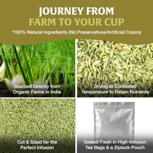 Image of HANDPICK Fennel Tea (40 Teabags) Authentic Indian Origin Natural Grown